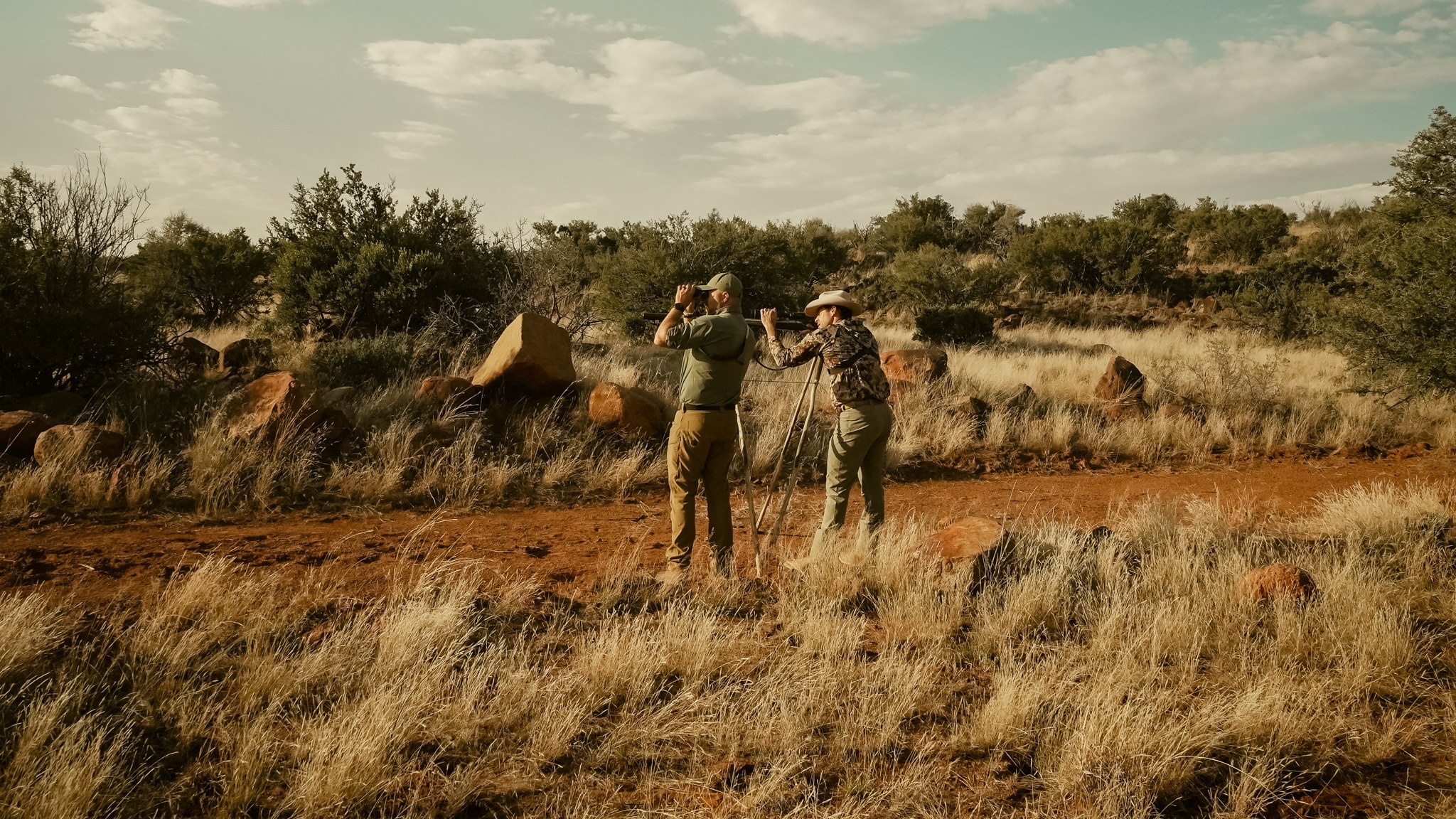 Two hunters scouting a brushy ranch pasture, one glassing the tree line with binoculars beside a rifle on shooting sticks