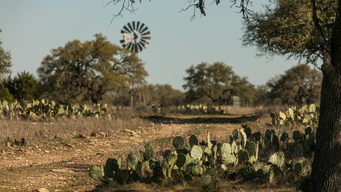 A windmill standing above live oaks and prickly pear on open Hill Country ranch land