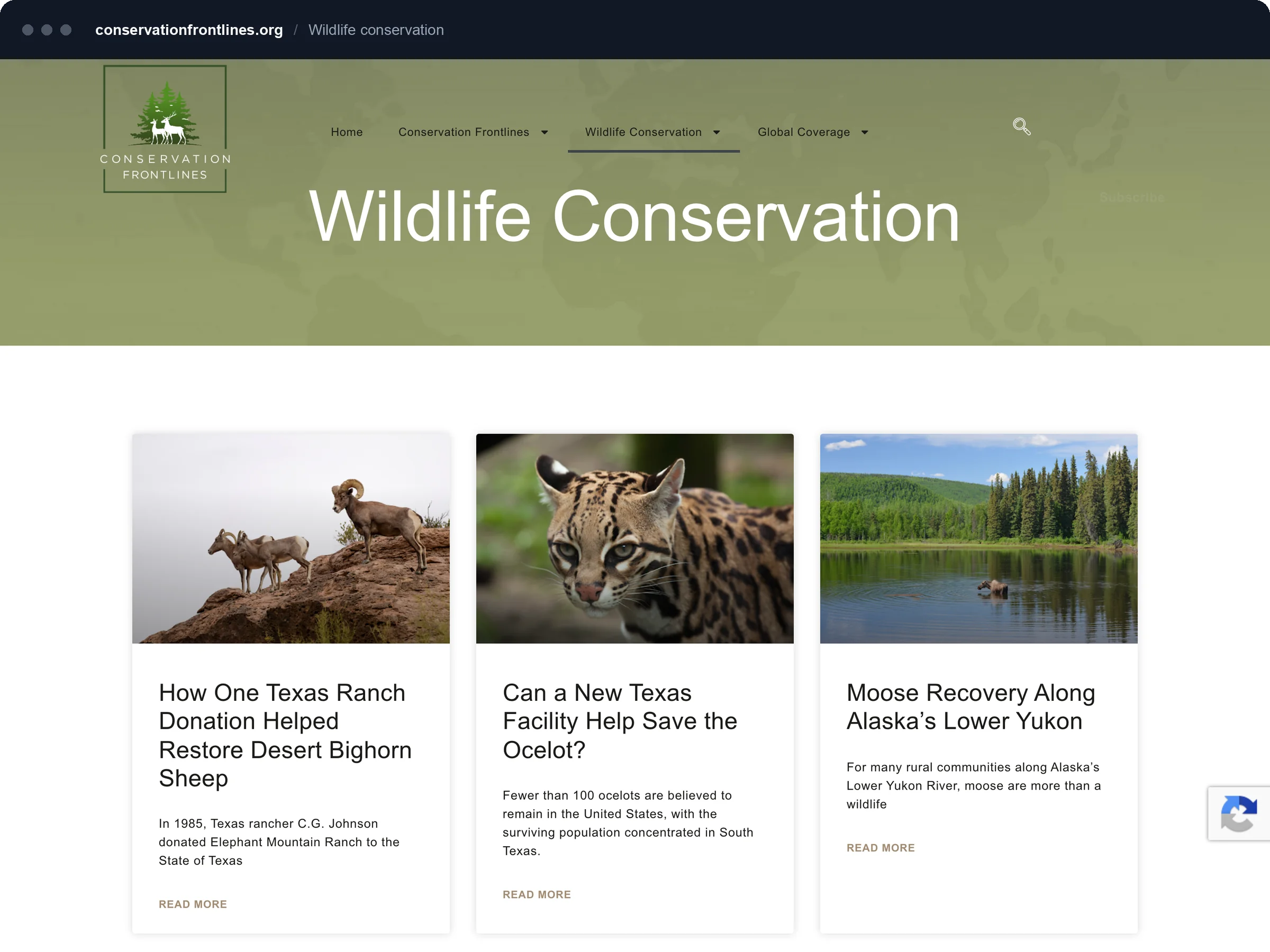 Wildlife Conservation category page with a grid of reported stories.