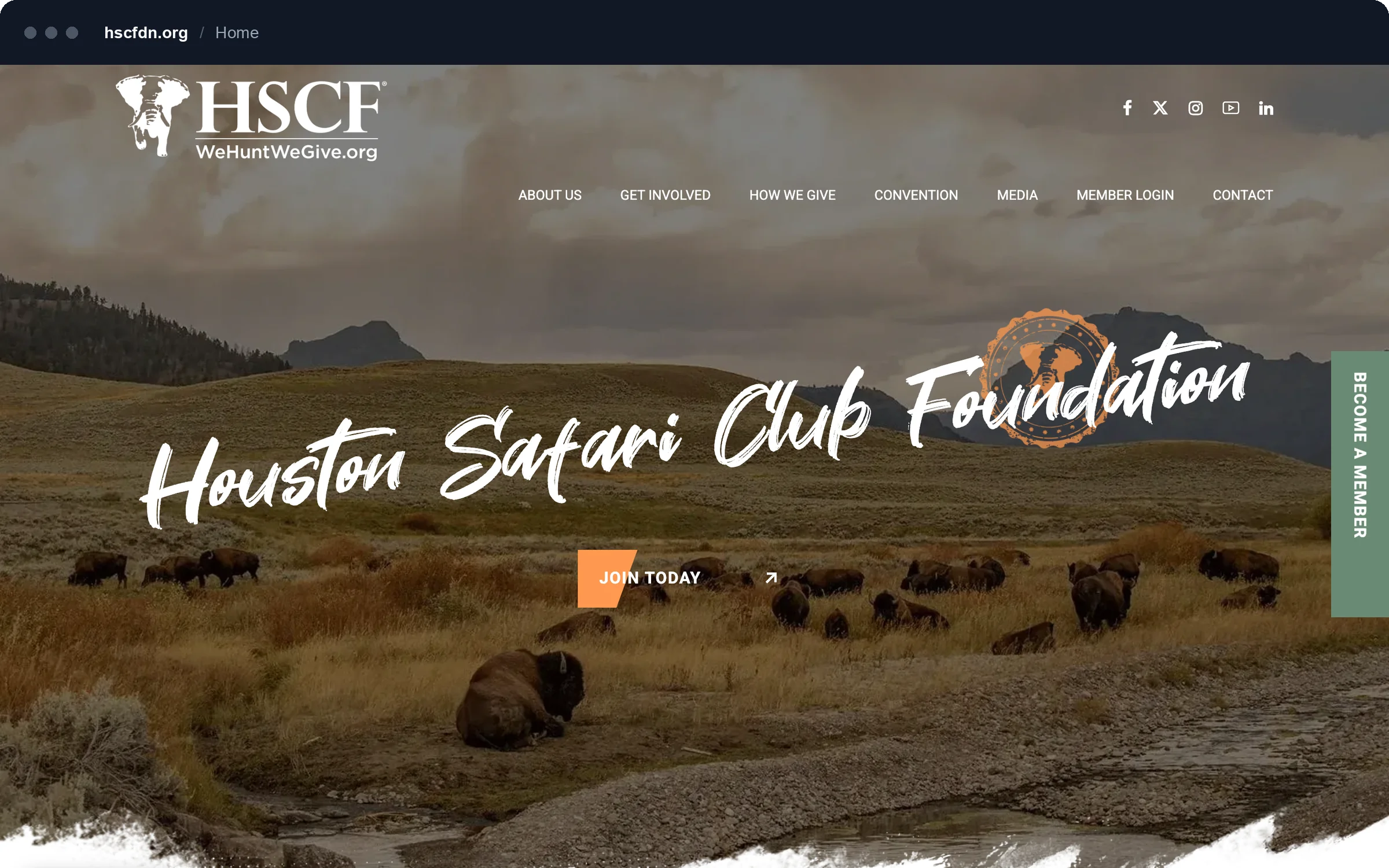 Houston Safari Club Foundation homepage with a bison herd photograph and the script Houston Safari Club Foundation headline.