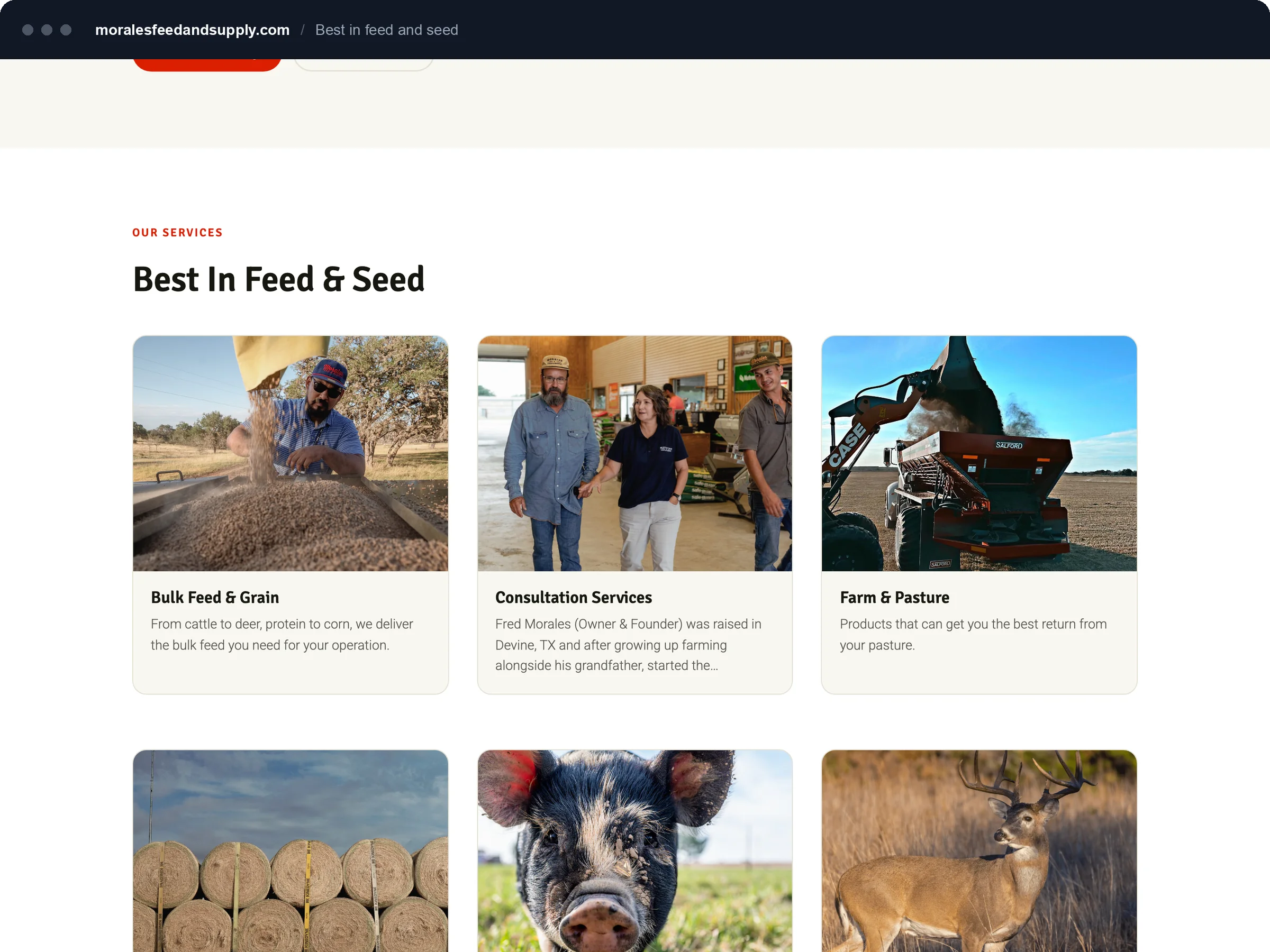 Best In Feed and Seed section with service cards for bulk feed, consultation and farm and pasture.