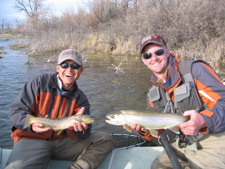 Trout on the Fly