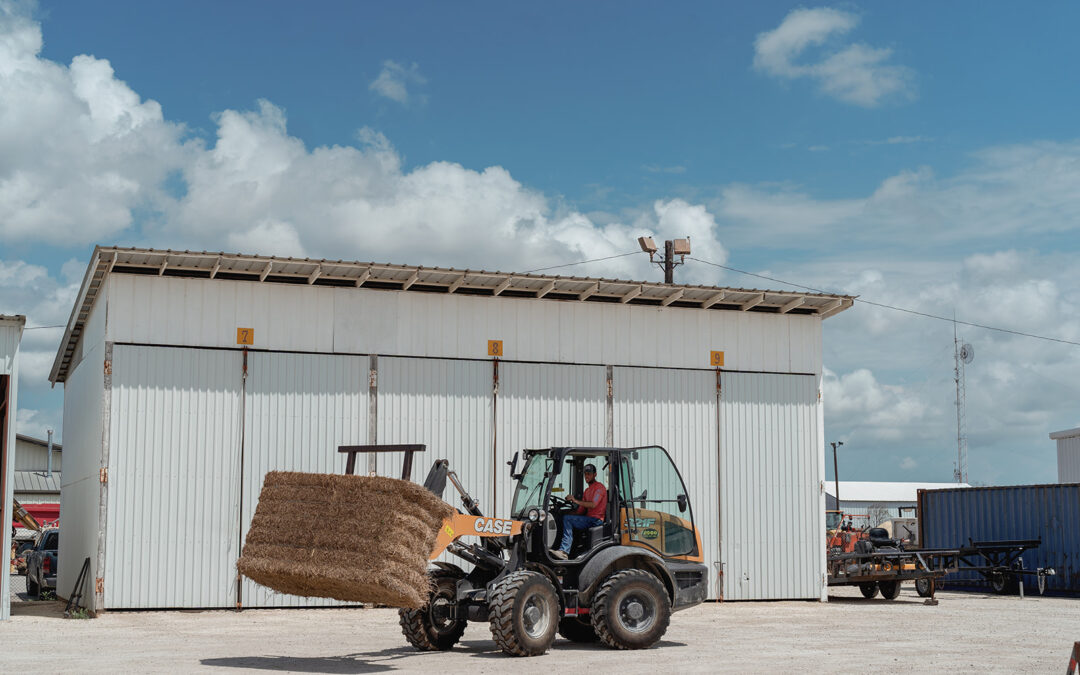 From Local Storefront to Digital Hub: How Morales Feed & Supply Wins Online