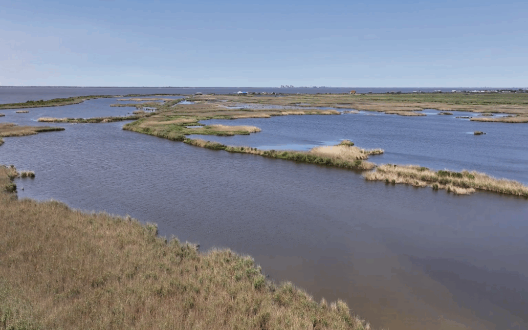 Storytelling That Moves Properties: Commissary Point