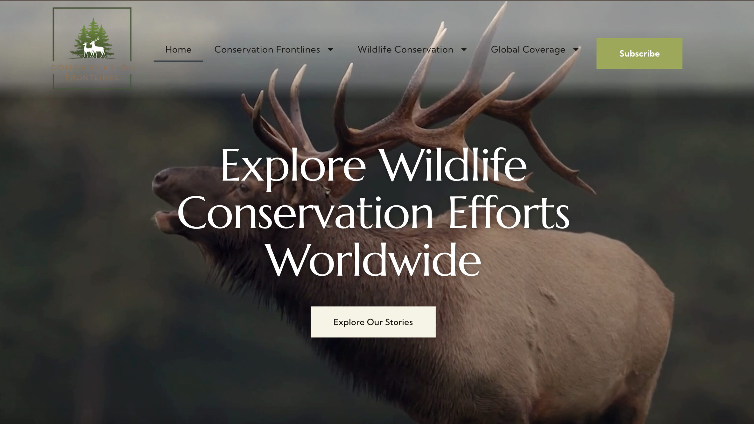 Feed and Supply Company video shoot