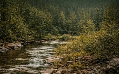 The State of Recreation in the U.S. (2026)