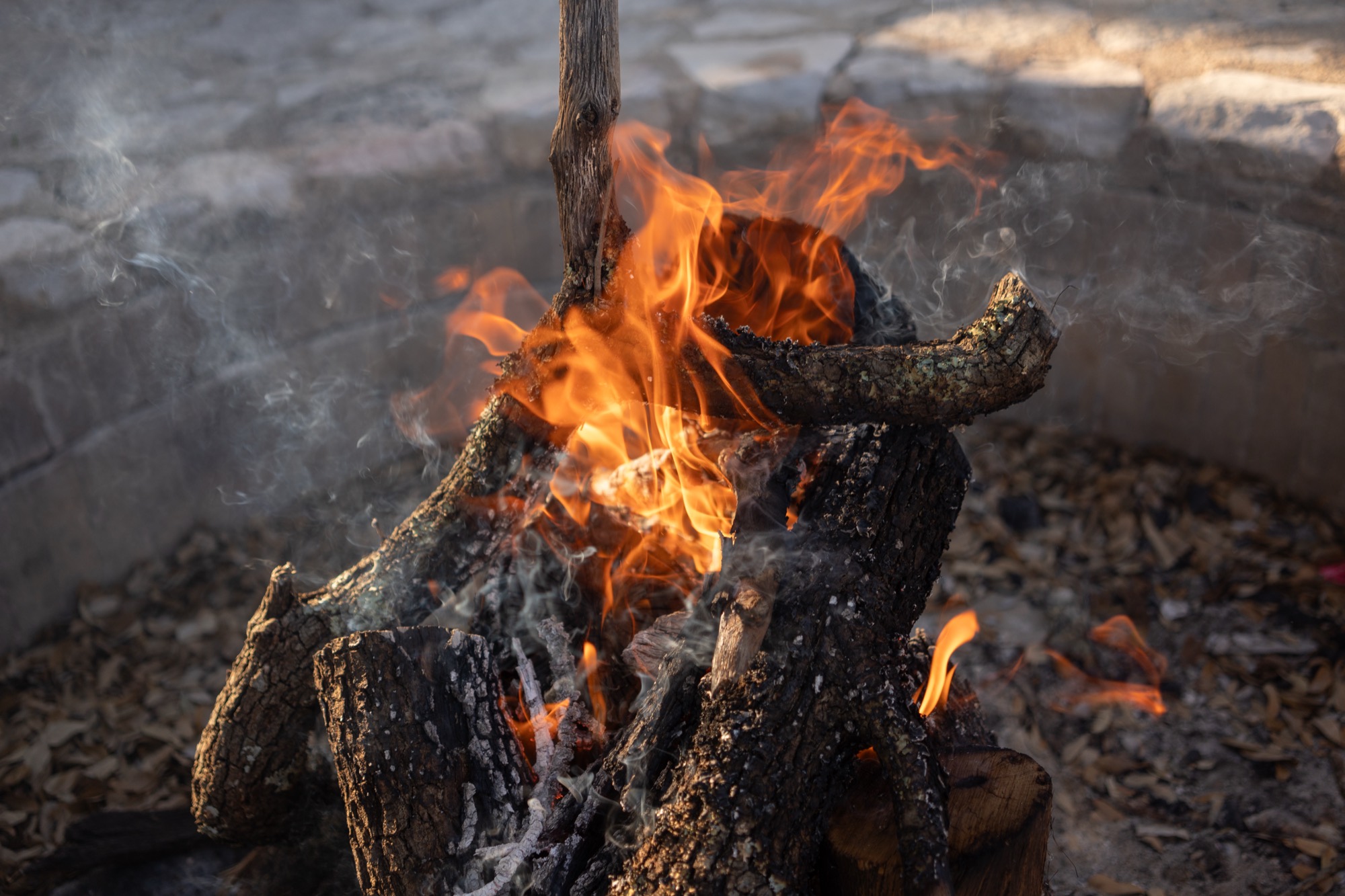 Oak logs burning in a stone fire ring