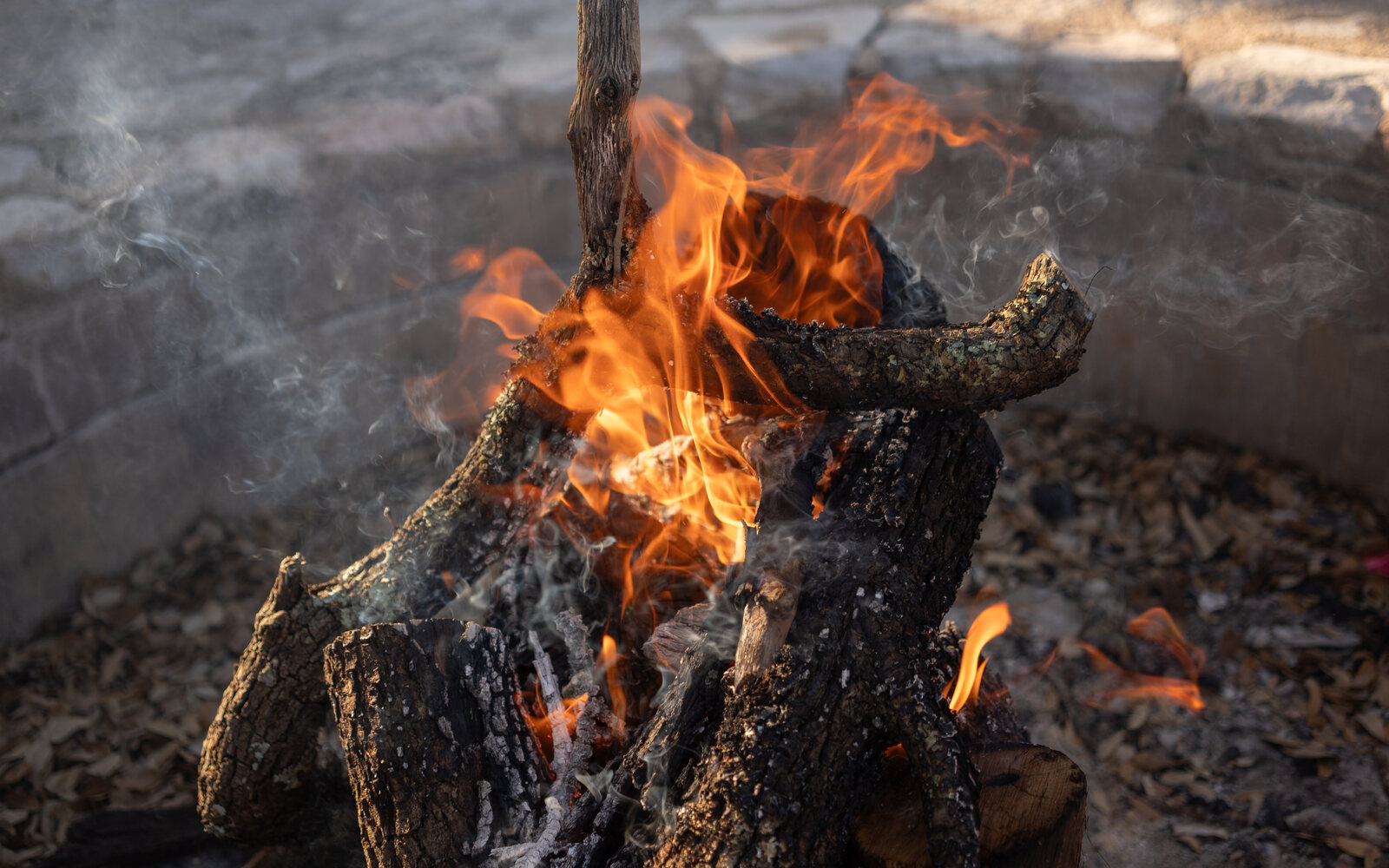 The Brisket Recipe for Digital Marketing That Actually Works